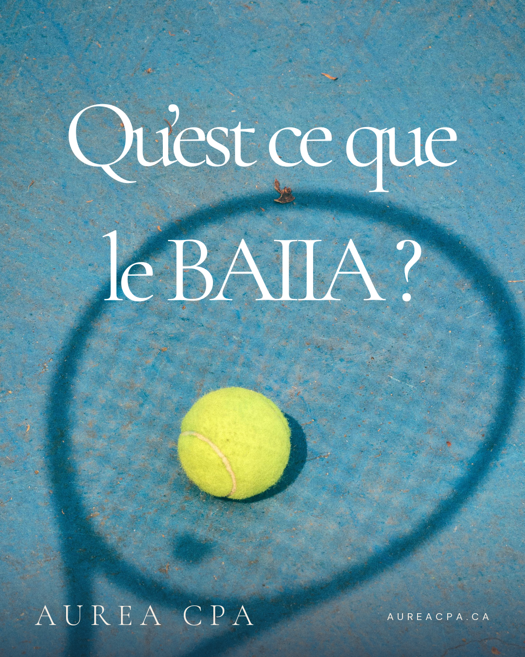 Publication AUREA CPA : qu'est-ce que le BAIIA ?
